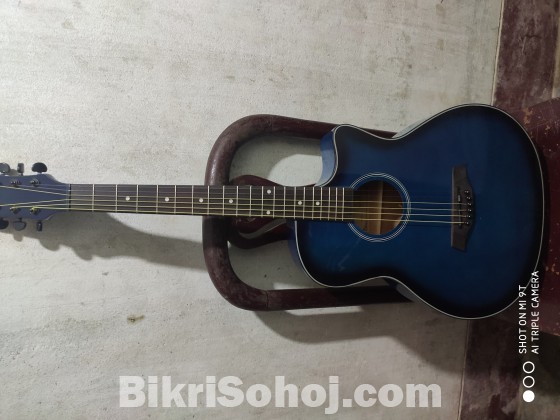 Floda premium acoustic guitar